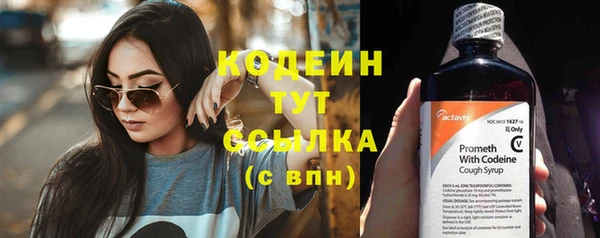 трава Осинники