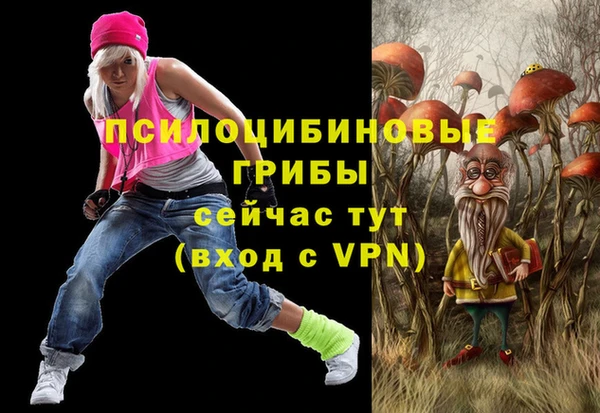 амф Осташков