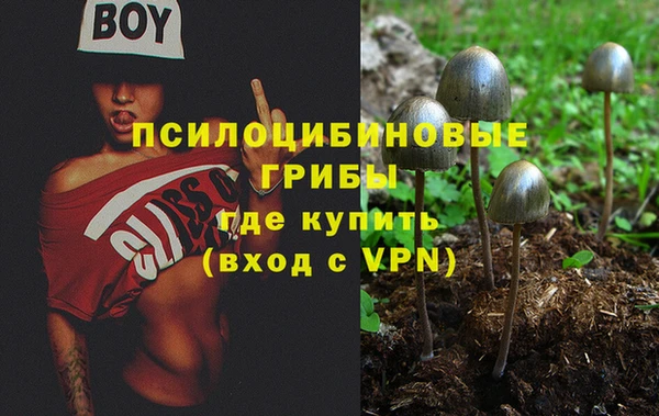 jwh Абаза