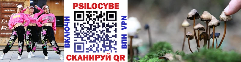 ОМГ ОМГ как войти  Ипатово  Псилоцибиновые грибы прущие грибы  где продают  