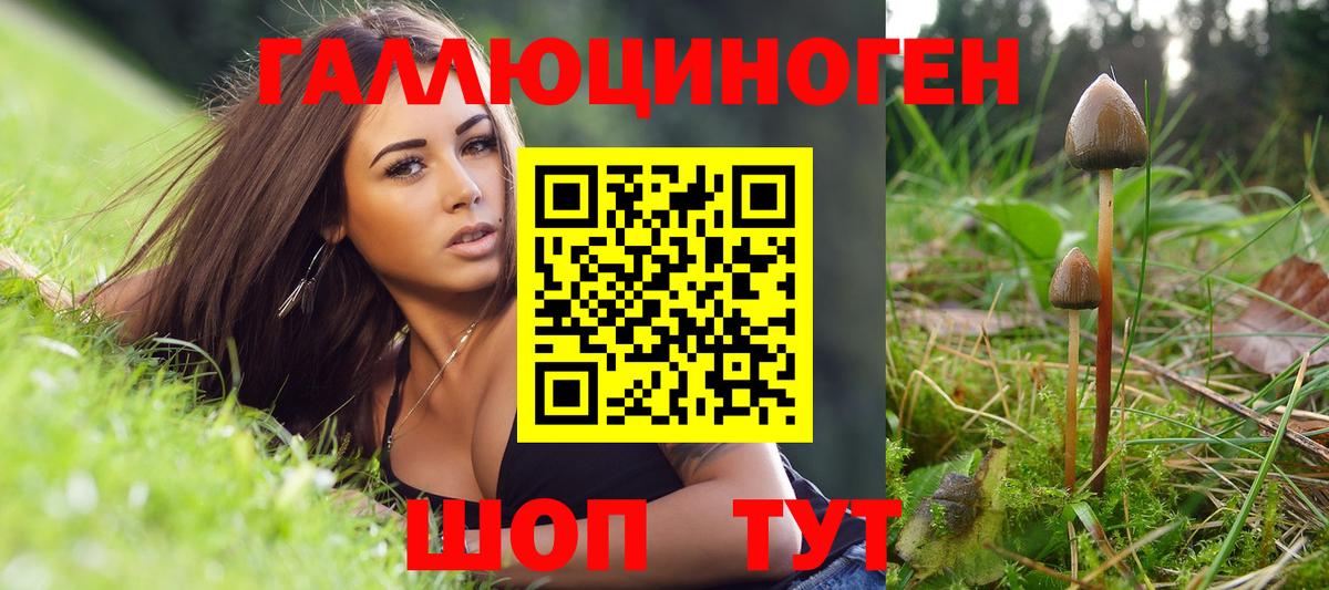 Галлюциногенные грибы Psilocybe  даркнет сайт  Ипатово  Вход с VPN  Псилоцибиновые грибы ЛСД 